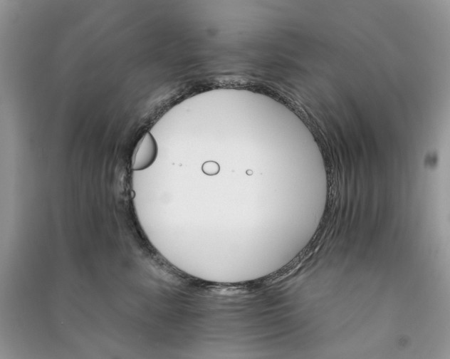 X0000090910619200708131414