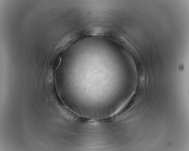 X0000090910620200708131414