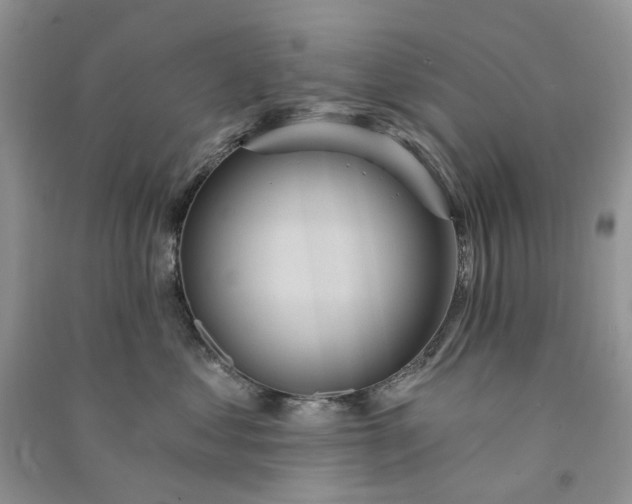 X0000090910621200708131414