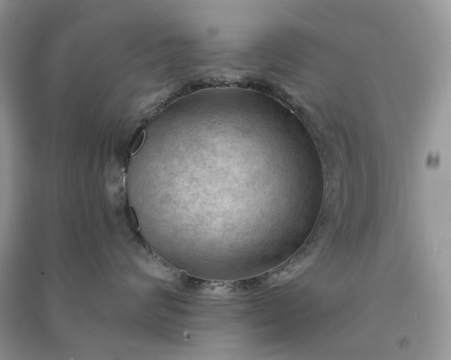 X0000090910624200708131413