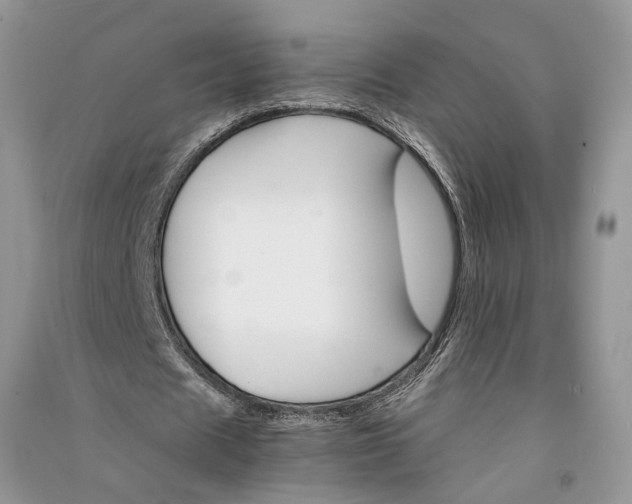 X0000090910625200708131413