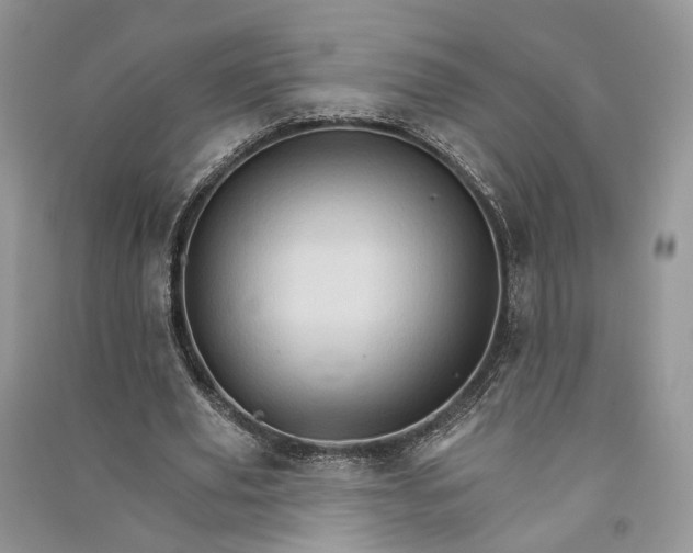 X0000090910629200708131413