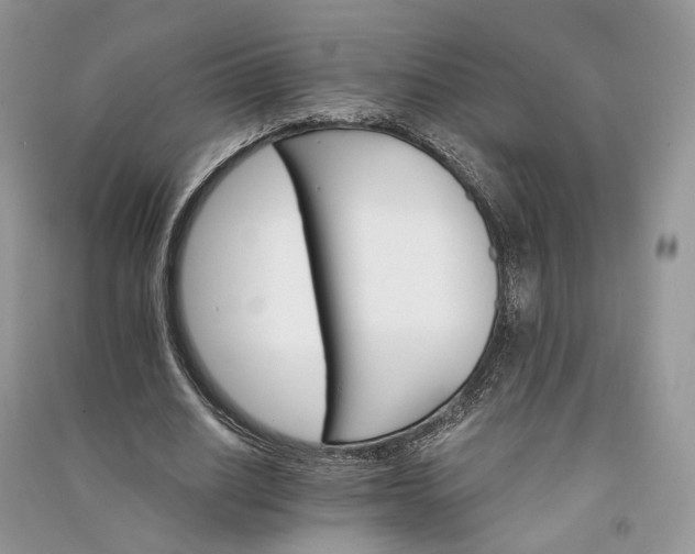 X0000090910630200708131413