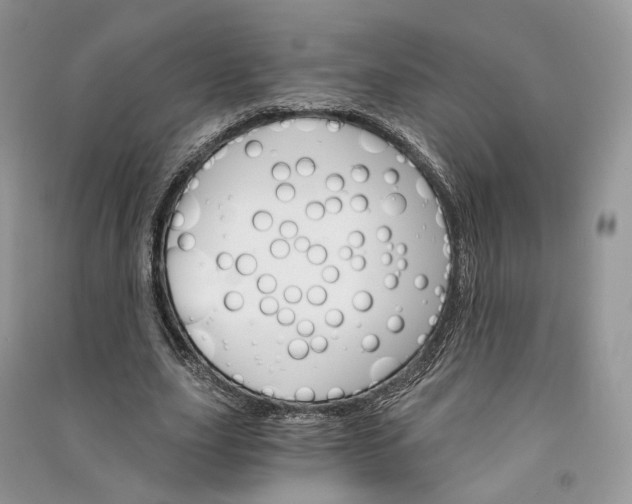 X0000090910631200708131413