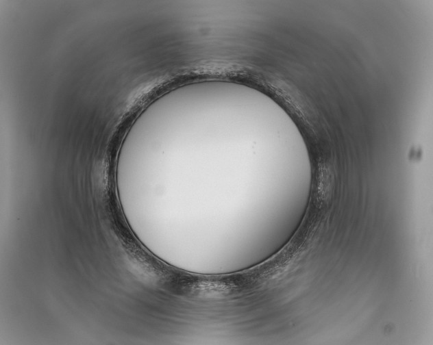 X0000090910636200708131413