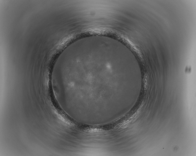 X0000090910637200708131413