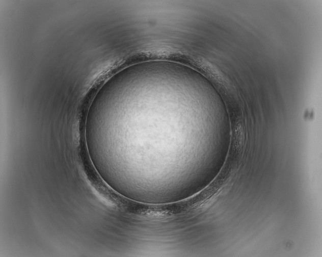 X0000090910638200708131413