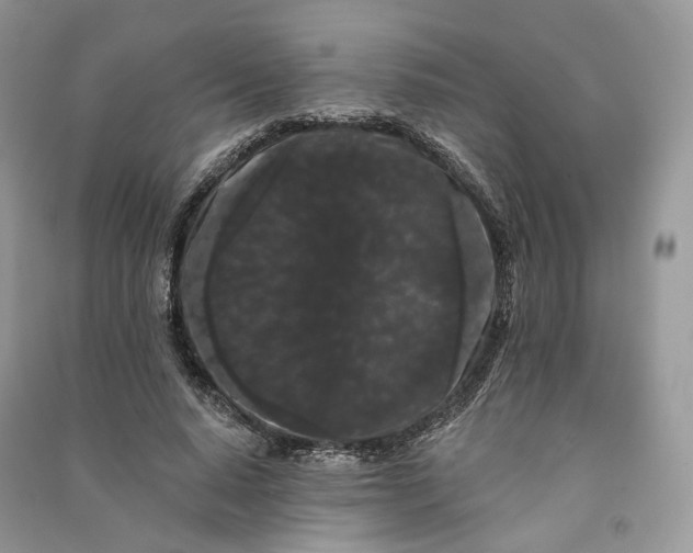 X0000090910640200708131413