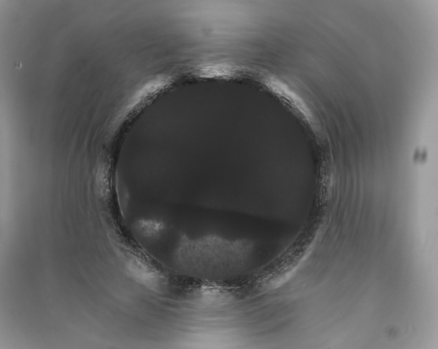 X0000090910641200708131413