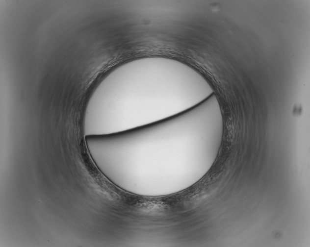 X0000090910642200708131413