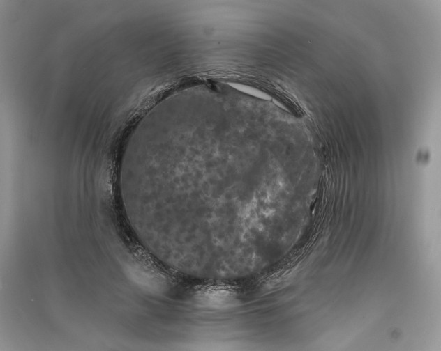 X0000090910643200708131413