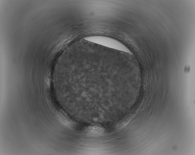 X0000090910644200708131413