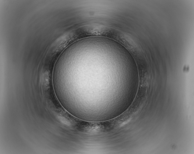 X0000090910646200708131413