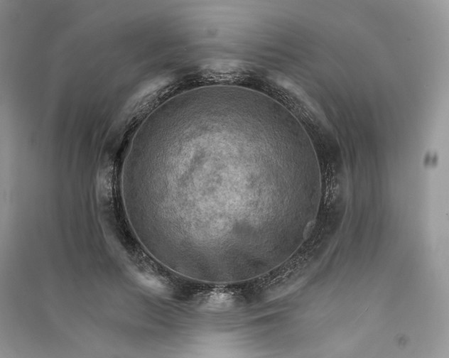 X0000090910647200708131413