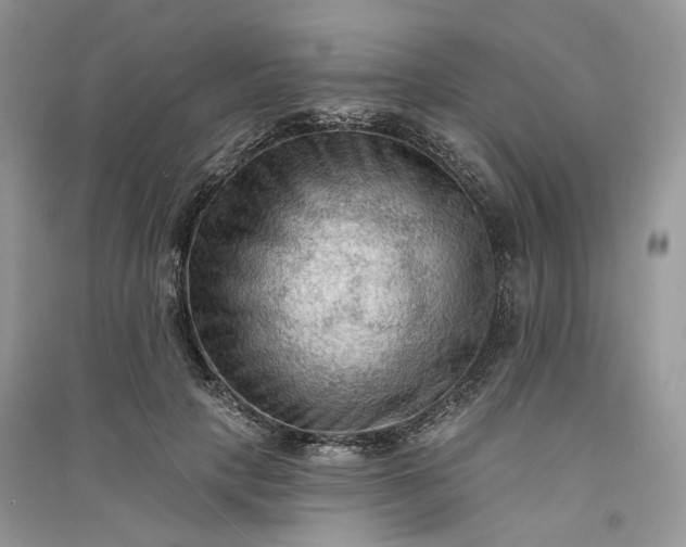 X0000090910649200708131413