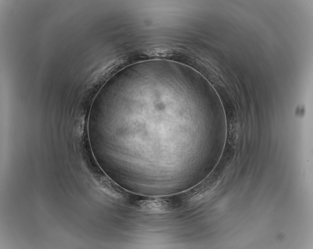 X0000090910652200708131413