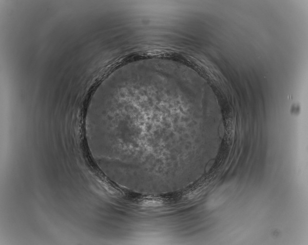 X0000090910653200708131413