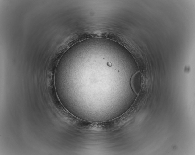 X0000090910656200708131413