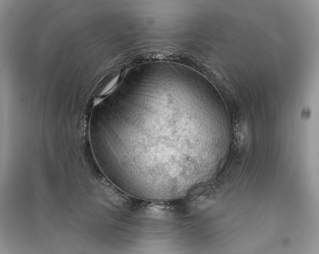 X0000090910657200708131413