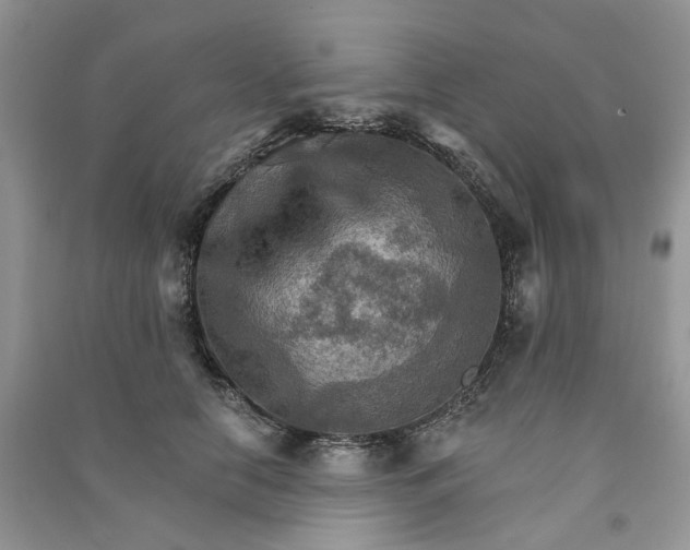 X0000090910658200708131413