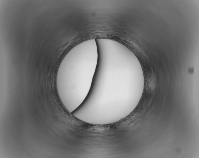 X0000090910661200708131413