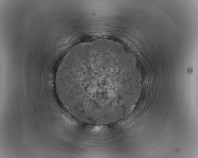 X0000090910663200708131413