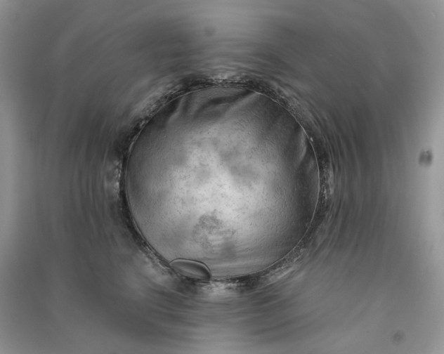 X0000090910664200708131413