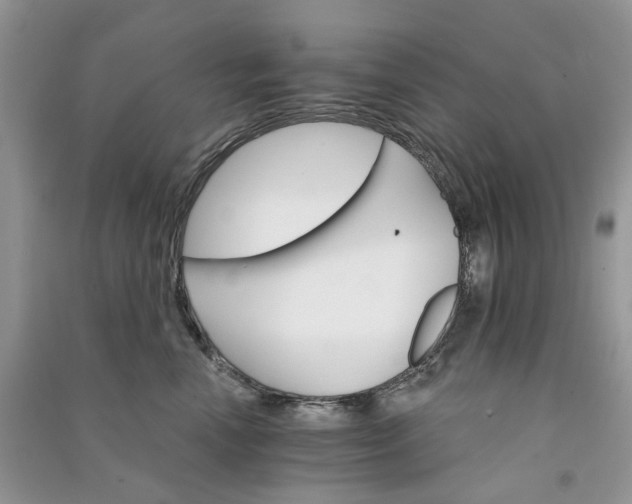 X0000090910666200708131413