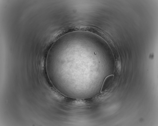 X0000090910668200708131413