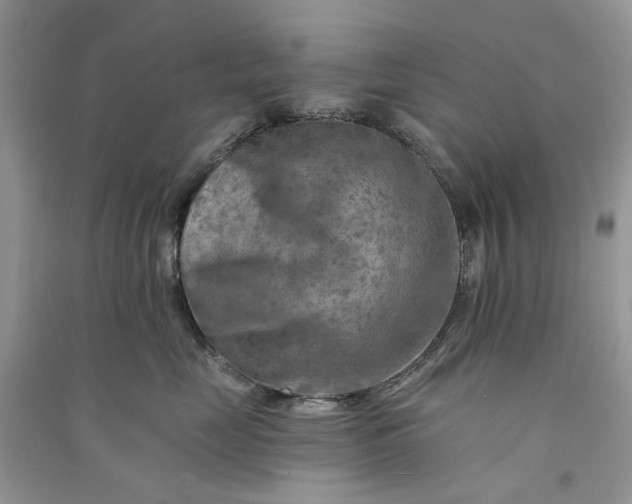 X0000090910669200708131413