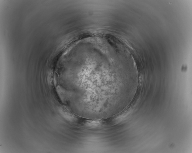 X0000090910671200708131413