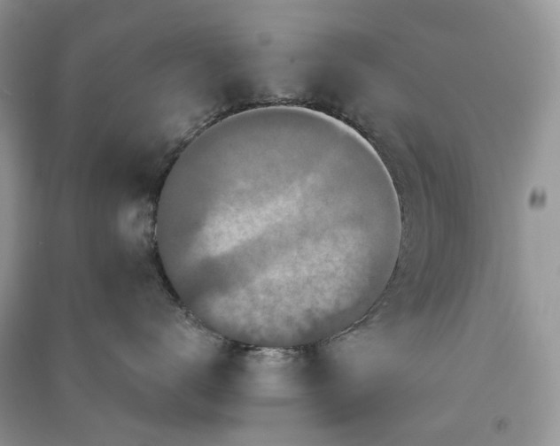 X0000090910672200708131413