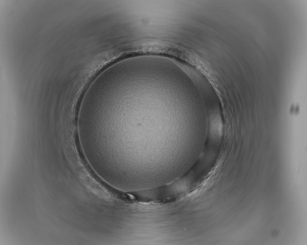 X0000090910673200708131413