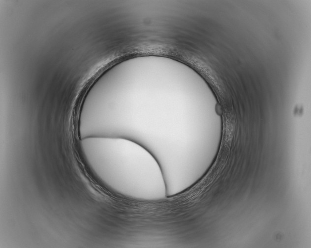 X0000090910674200708131413