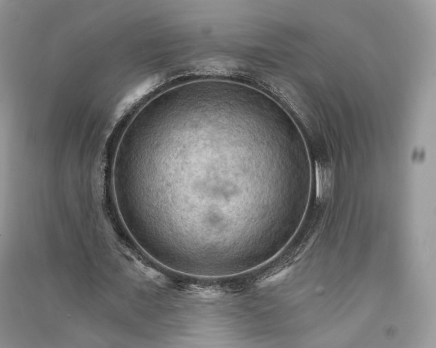 X0000090910675200708131413