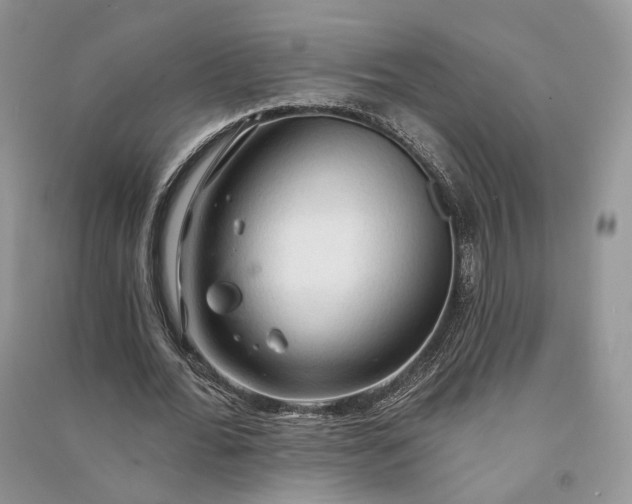 X0000090910676200708131413