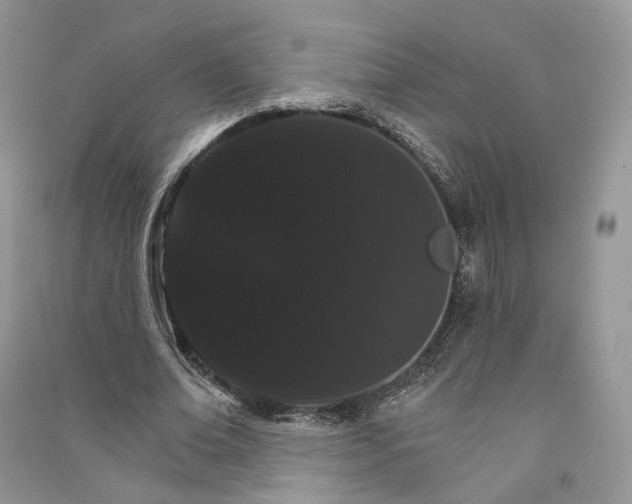 X0000090910678200708131413