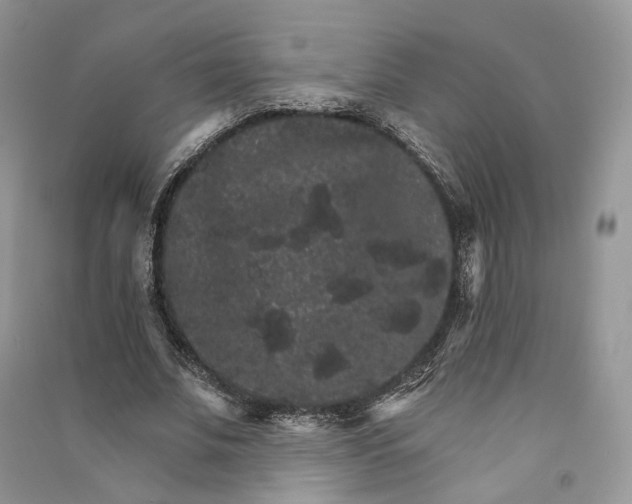 X0000090910679200708131413