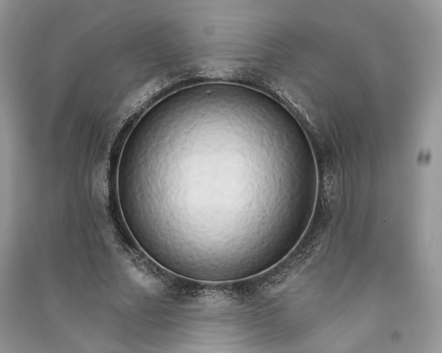 X0000090910682200708131413