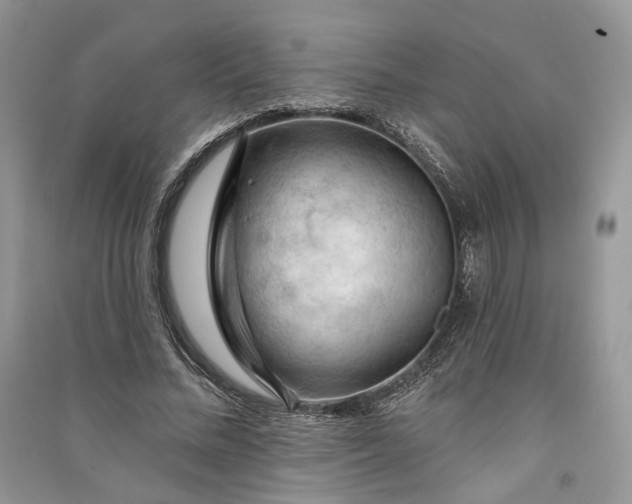 X0000090910684200708131413