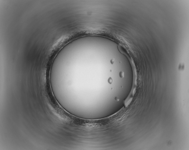 X0000090910686200708131413