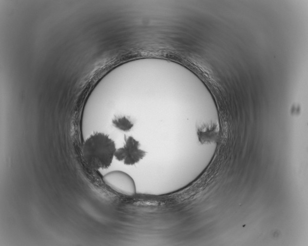 X0000090910687200708131413