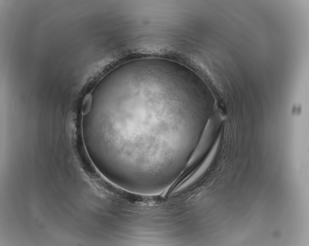 X0000090910688200708131413