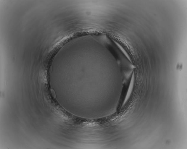 X0000090910689200708131413