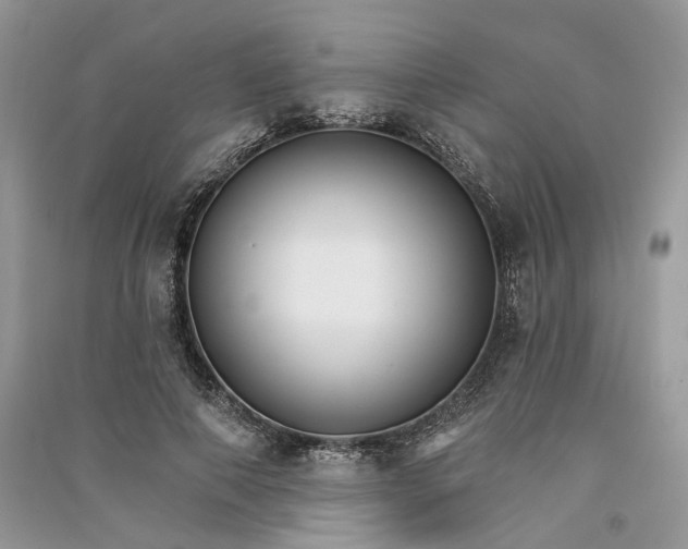 X0000090910690200708131413