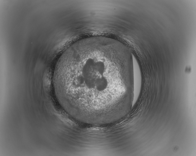 X0000090910691200708131413