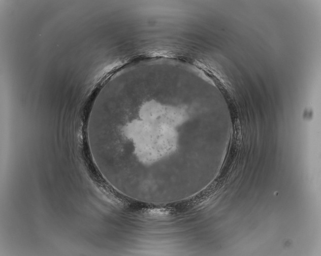 X0000090910692200708131413