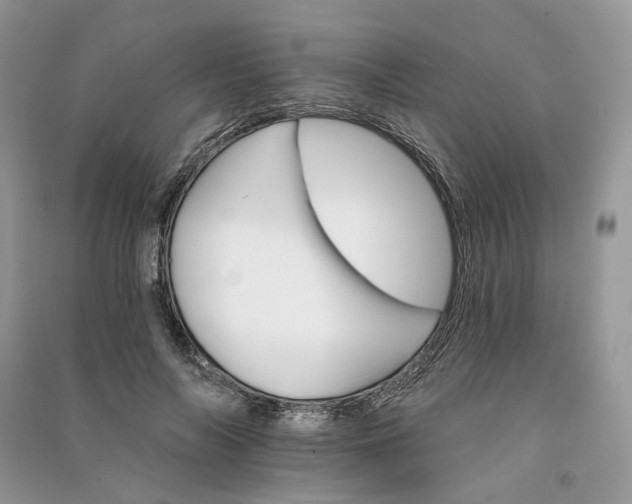 X0000090910694200708131413