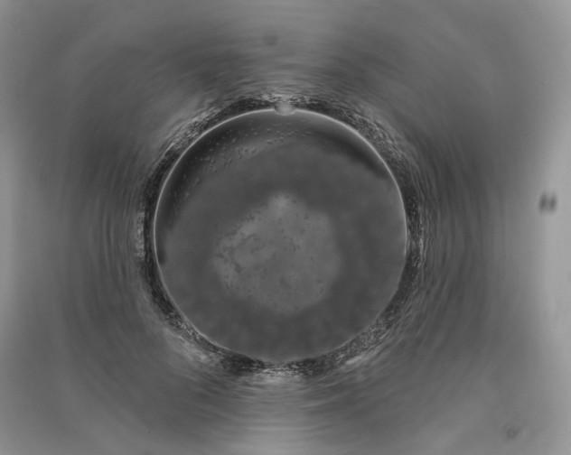 X0000090910696200708131413