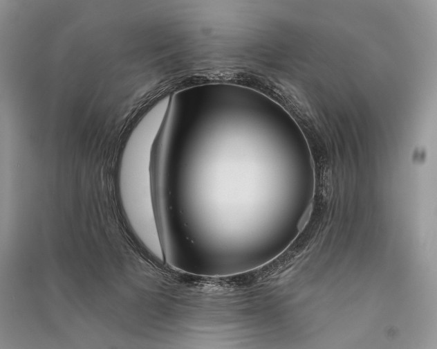 X0000090910697200708131413